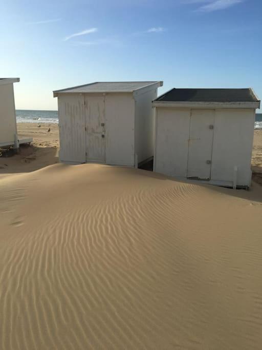 Vue Sur Dunes ! Sangatte Exterior photo