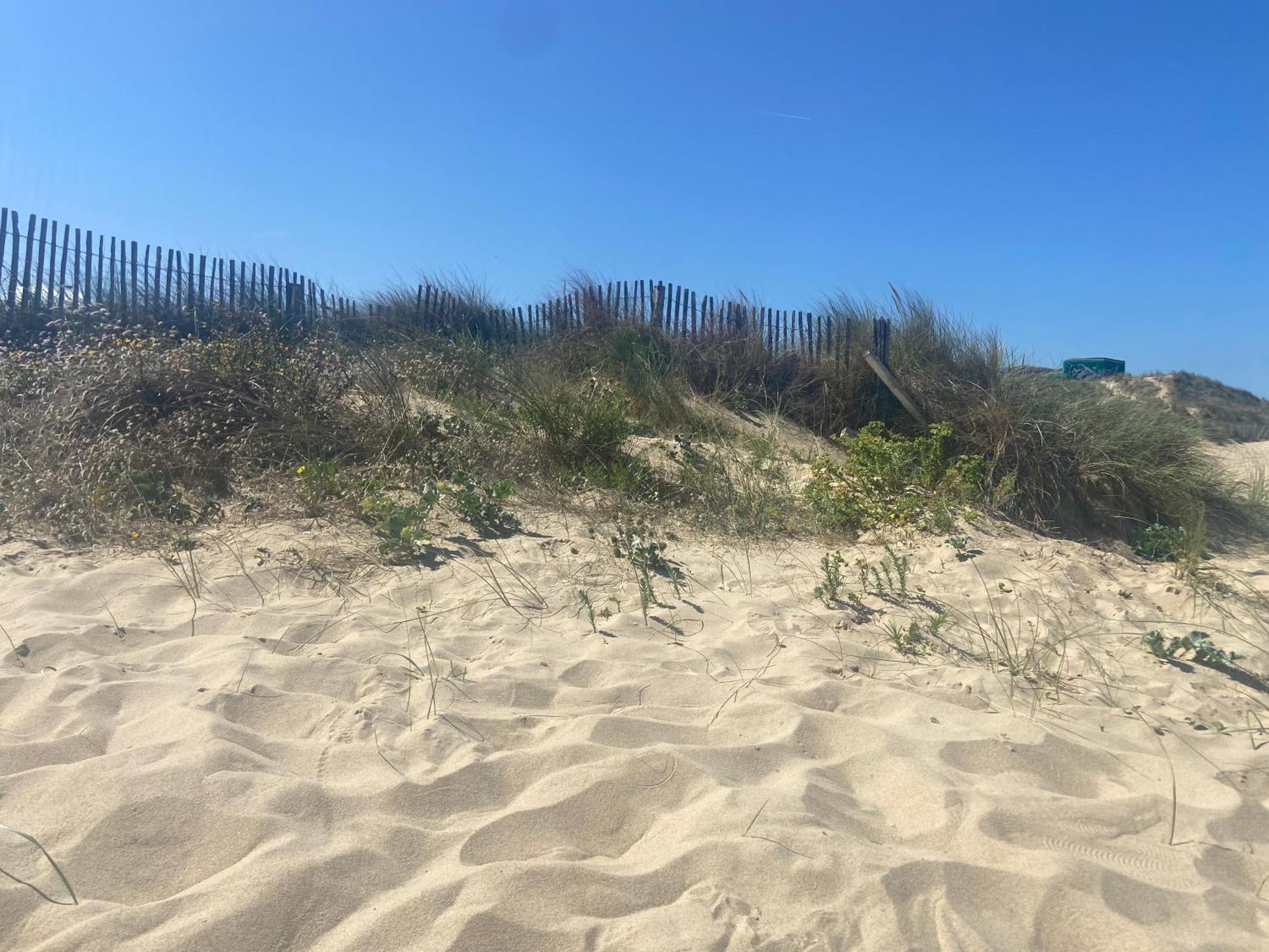 Vue Sur Dunes ! Sangatte Exterior photo